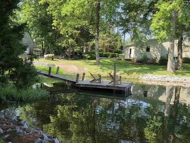 OPEN HOUSE ON Sunday 7/19 11am-1pm - Excellent Chapin lakefront - photo 49