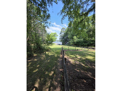 OPEN HOUSE ON Sunday 7/19 11am-1pm - Excellent Chapin lakefront - photo 50
