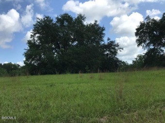 (private lake, pond, creek) Acreage For Sale in Vancleave Mississippi