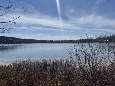 Lake Lot For Sale in Gaylord, Michigan