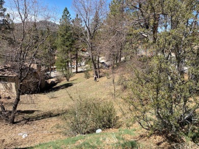 Big Bear Lake Lot For Sale in Fawnskin California