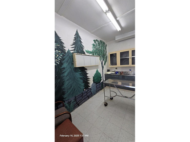 Built for year-round use, this structure features solid concrete - photo 15
