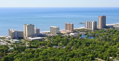 Don't miss the opportunity to own this beautiful ocean view 2 - photo 24