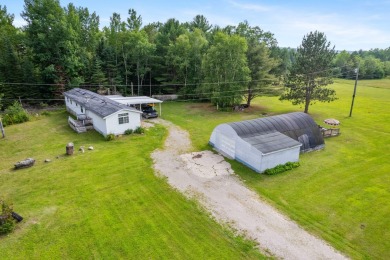 Burt Lake Home For Sale in Indian River Michigan