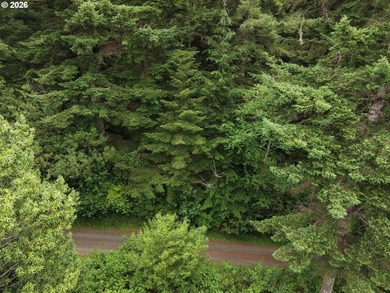 Opportunity awaits with this vacant land offering consisting of - photo 9
