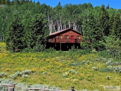 (private lake, pond, creek) Home For Sale in Island Park Idaho