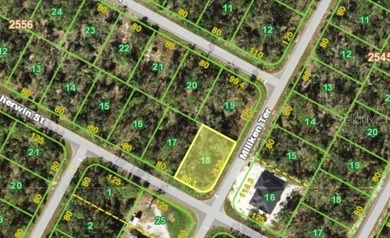 Prime Corner Lot Opportunity in Port Charlotte - 0.23 Acres - photo 4