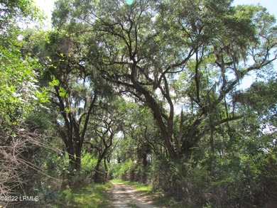 Seabrook Farm which consists of 318+- acres of open fields and - photo 4