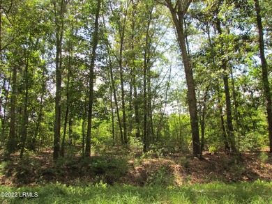 Seabrook Farm which consists of 318+- acres of open fields and - photo 5