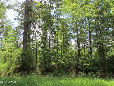 Seabrook Farm which consists of 318+- acres of open fields and - photo 6