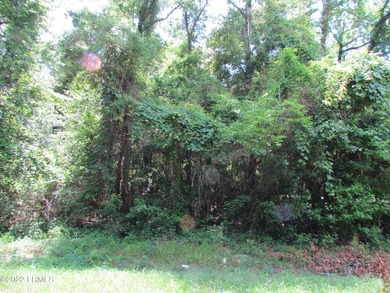 Seabrook Farm which consists of 318+- acres of open fields and - photo 7