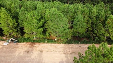 Lake Lot For Sale in Broken Bow, Oklahoma