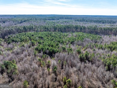 A Premier opportunity to develop an exclusive 21 lot estate - photo 11