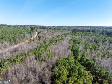 A Premier opportunity to develop an exclusive 21 lot estate - photo 12