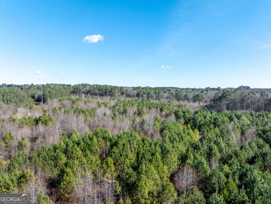 A Premier opportunity to develop an exclusive 21 lot estate - photo 14