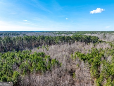 A Premier opportunity to develop an exclusive 21 lot estate - photo 15