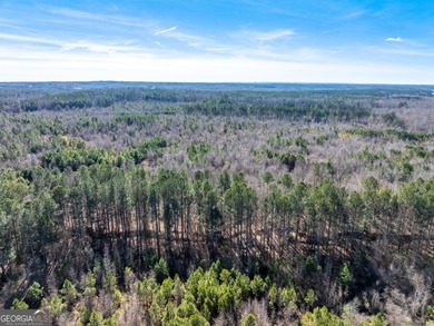A Premier opportunity to develop an exclusive 21 lot estate - photo 16