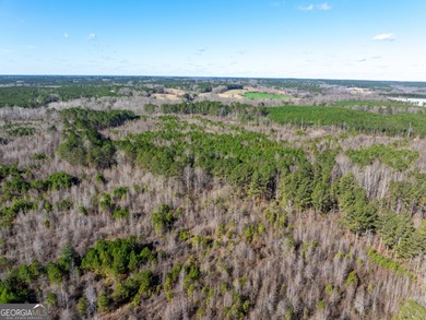 A Premier opportunity to develop an exclusive 21 lot estate - photo 17