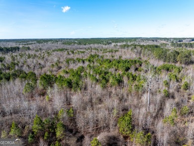 A Premier opportunity to develop an exclusive 21 lot estate - photo 18