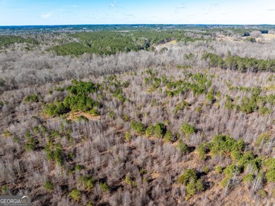 A Premier opportunity to develop an exclusive 21 lot estate - photo 19