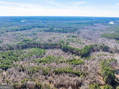 A Premier opportunity to develop an exclusive 21 lot estate - photo 22