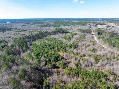 A Premier opportunity to develop an exclusive 21 lot estate - photo 23