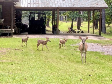 Escape to your own rustic haven in the heart of Pachuta, MS - photo 24