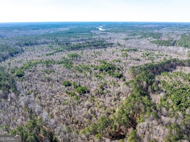 A Premier opportunity to develop an exclusive 21 lot estate - photo 26