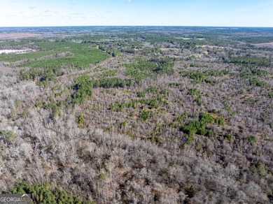 A Premier opportunity to develop an exclusive 21 lot estate - photo 28