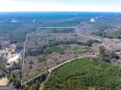 A Premier opportunity to develop an exclusive 21 lot estate - photo 29