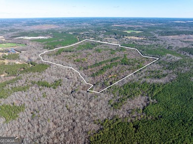 A Premier opportunity to develop an exclusive 21 lot estate - photo 32
