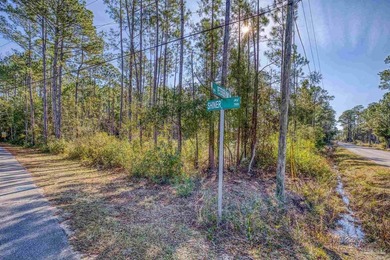 Rare opportunity to own a lot near the private, waterfront - photo 3