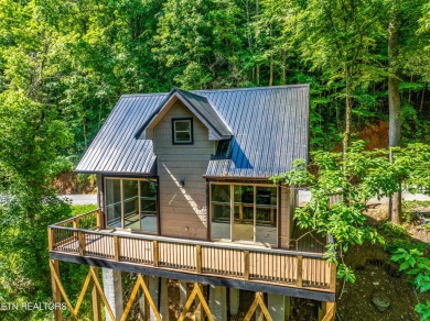 Lake Home For Sale in Sevierville, Tennessee