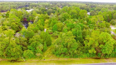 Ideal property for apartments or townhomes. Vacant multi family - photo 4