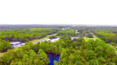 Ideal property for apartments or townhomes. Vacant multi family - photo 5