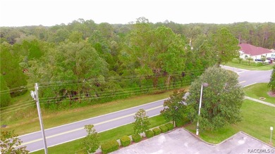 Ideal property for apartments or townhomes. Vacant multi family - photo 8