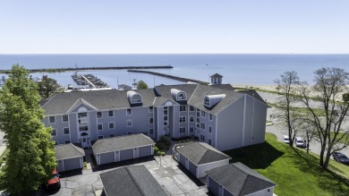Lake Condo For Sale in Lexington, Michigan