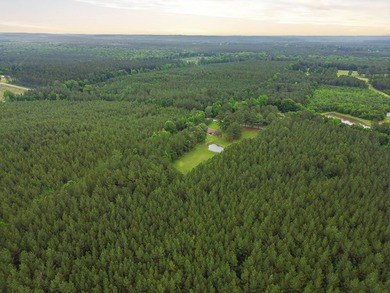 Discover peaceful country living on this beautiful 18-acre - photo 15