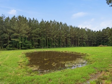 Discover peaceful country living on this beautiful 18-acre - photo 17