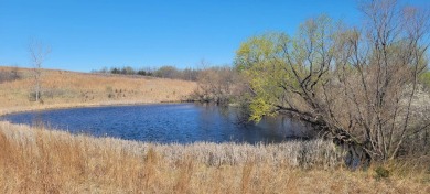 (private lake, pond, creek) Acreage For Sale in Martinsville Missouri