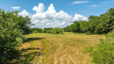 Breathtaking and private, heavily treed with wide open space on - photo 3