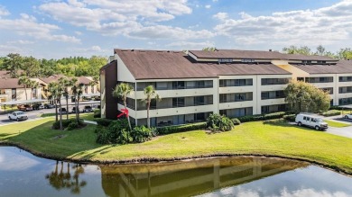 Lake Condo Sale Pending in Tampa, Florida