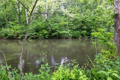 Rare opportunity! Imagine owning 1.789 pristine acres with - photo 8