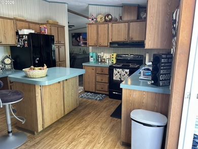 This beautiful doublewide manufactured home in a quiet family - photo 15