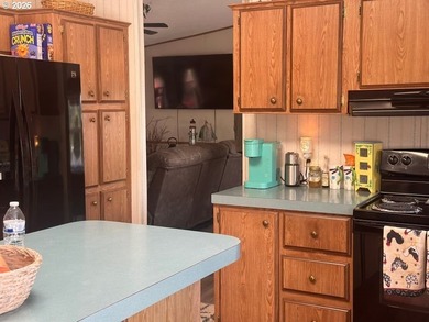 This beautiful doublewide manufactured home in a quiet family - photo 18