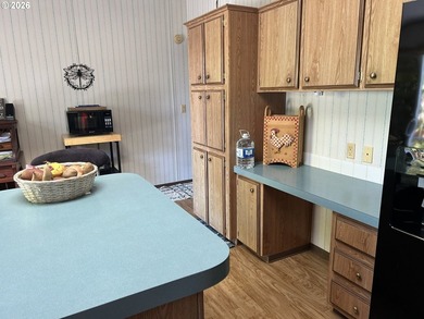 This beautiful doublewide manufactured home in a quiet family - photo 19
