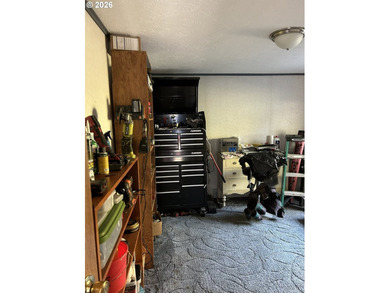 This beautiful doublewide manufactured home in a quiet family - photo 34