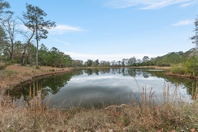 Welcome home to 20 acres of peaceful countryside where a - photo 38