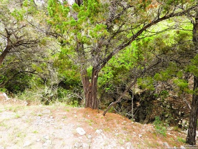 Enjoy end-of-the-road privacy in this charming 2-bedroom, 2-bath - photo 39
