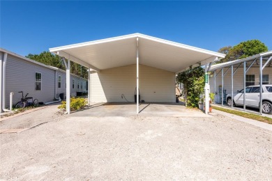 Lake Home For Sale in Lutz, Florida
